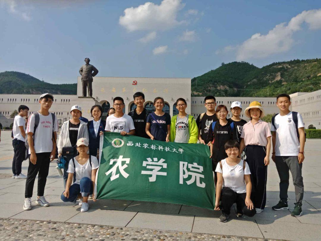 书法专业+文化课分多少能上好大学